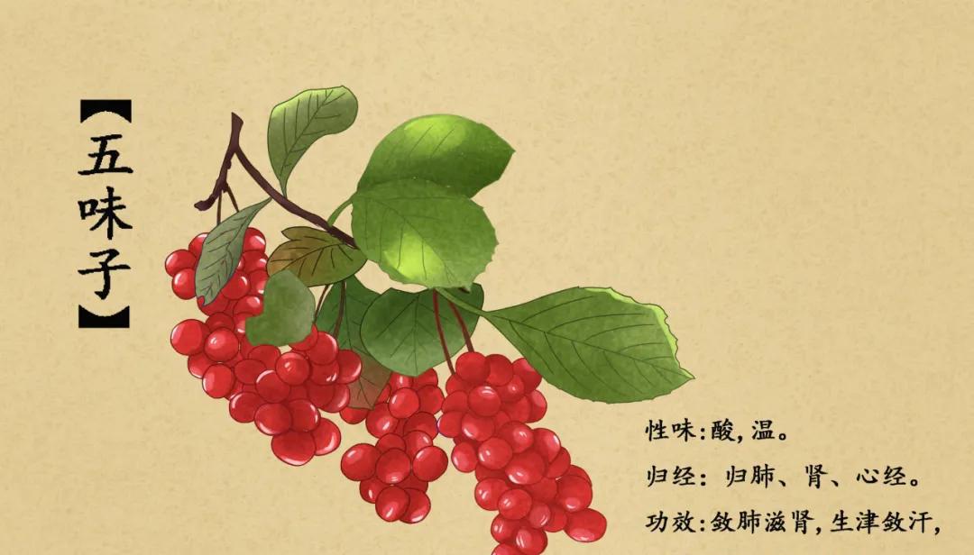补血粥食材_食疗补血粥_四红补血粥