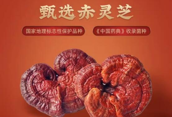 补血贫血东西吃什么_补血贫血吃什么_贫血吃什么东西补血最快