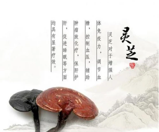补血贫血东西吃什么好_贫血吃食物补血最快_贫血吃什么东西补血最快