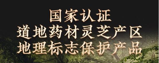 贫血吃什么东西补血最快_贫血吃食物补血最快_补血贫血东西吃什么好